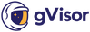 gVisor