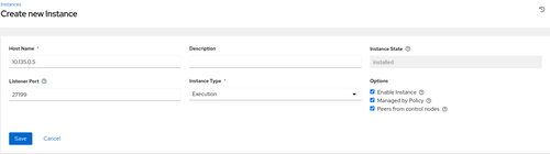 Add Execution Instance