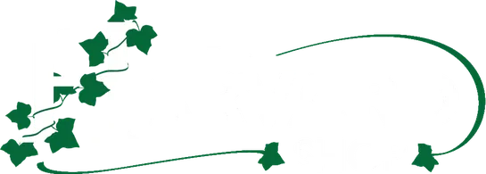 Harvard Free Course: Introduction to Artificial Intelligence with Python