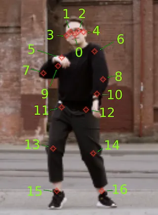 Real-Time Pose Detection in C++ using Machine Learning with TensorFlow Lite