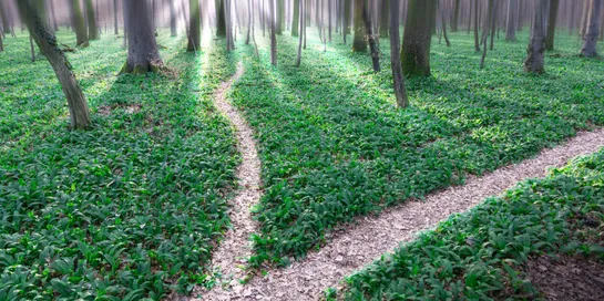 Open source forkers stick an OpenBao in the oven