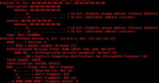 New GoLang-Based HinataBot Exploiting Router and Server Flaws for DDoS Attacks