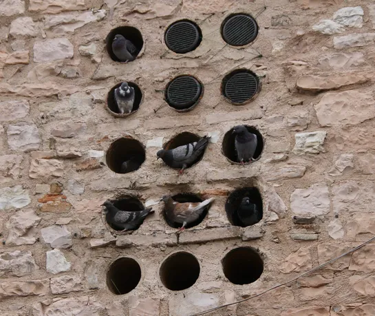 Don’t overcategorise incidents