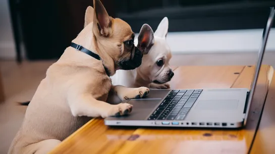 Learning JavaScript from ChatGPT