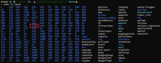 Container security fundamentals: Exploring containers as processes