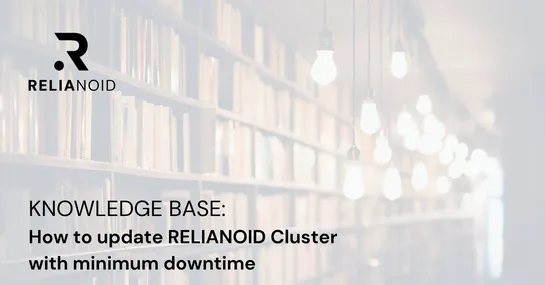 How to update RELIANOID Cluster with minimum downtime