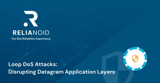 Loop DoS Attacks Disrupting Datagram Application Layers RELIANOID