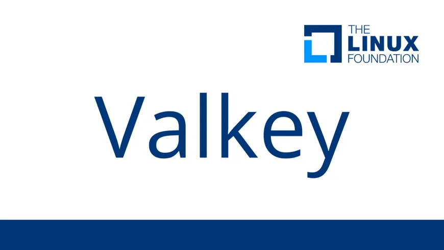 Valkey 9.0 Released: Faster Clusters, New TTL Controls, and Big Networking Gains
