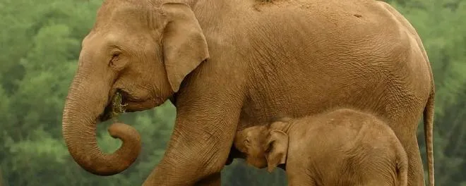 CNPG Recipe 17 - PostgreSQL In-Place Major Upgrades