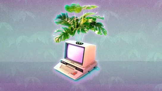 Why Zig has become the highest-paying programming language