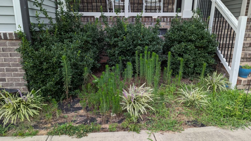 Go Concurrency: Fan-out, Fan-in