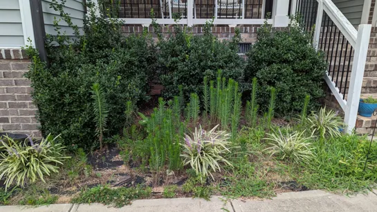 Go Concurrency: Fan-out, Fan-in