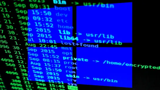 GitHub folds into Microsoft following CEO resignation — once independent programming site now part of 'CoreAI' team