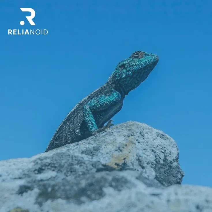 laura garcia medium article