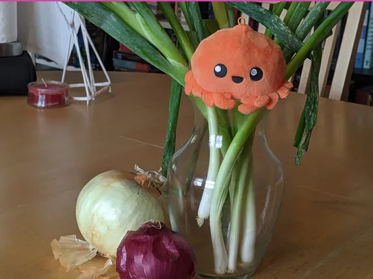 Tor Goes Rust: Introducing Arti, a New Foundation for the Future of Tor