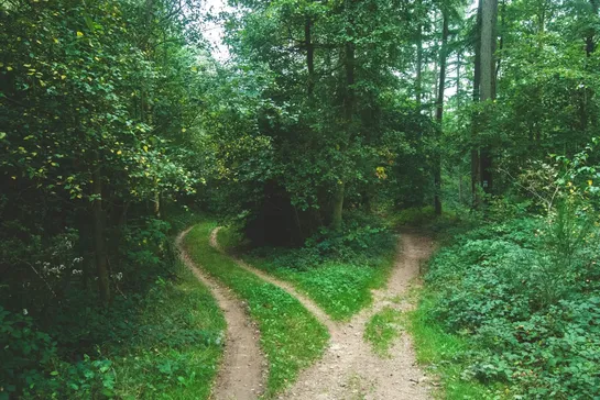 Paused Kubernetes project finds path forward